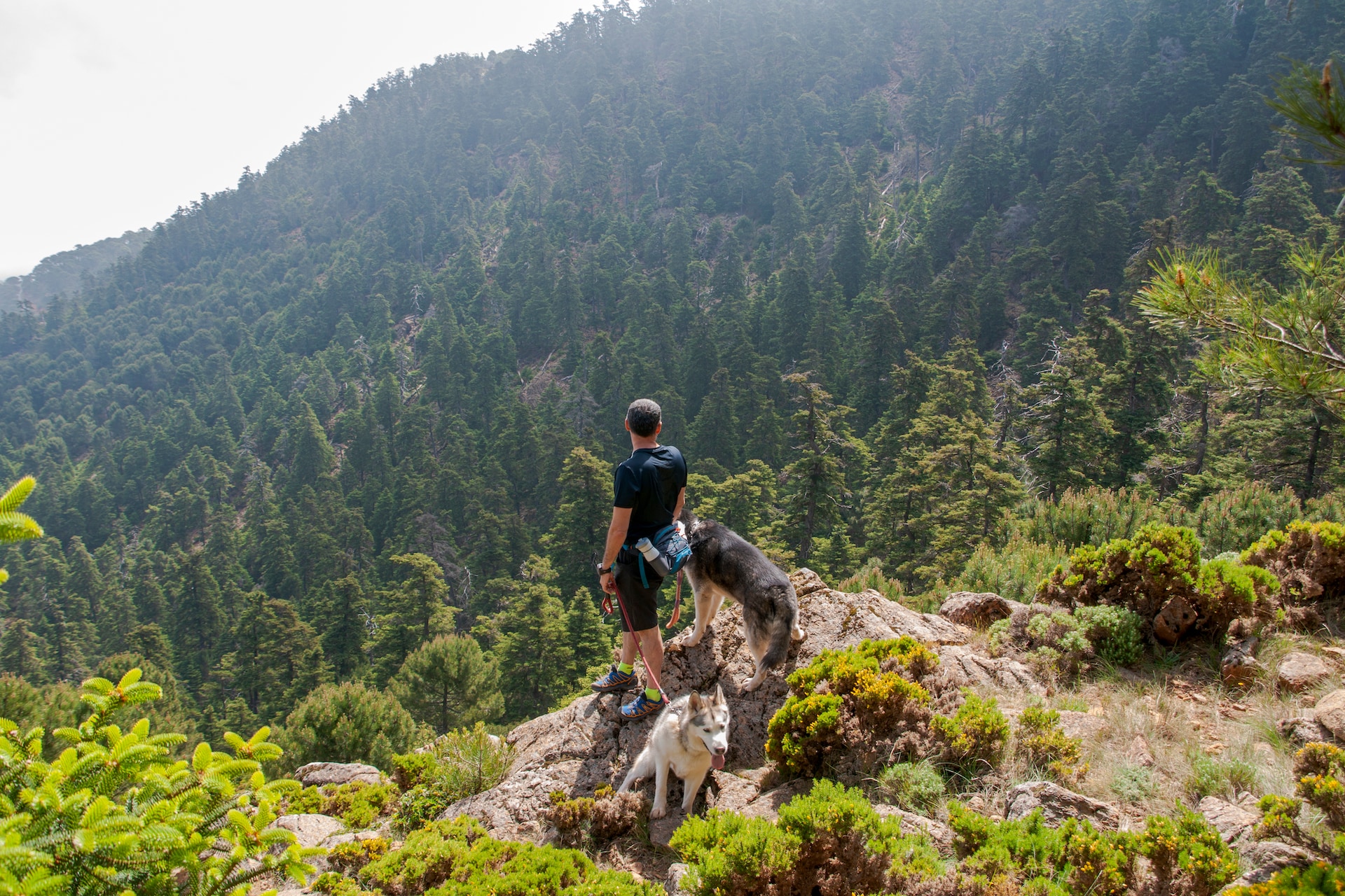Sierra Bermeja, un patrimonio natural excepcional
